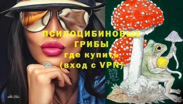 стаф Алексеевка