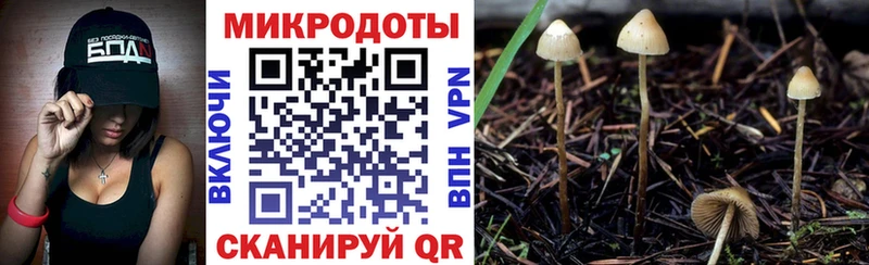 Галлюциногенные грибы Cubensis  Набережные Челны 